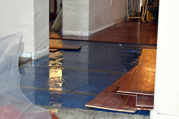 Professional Basement Water Removal technician working in Dumont, NJ